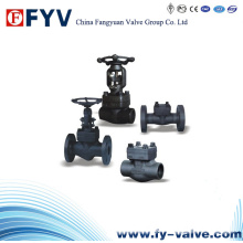 API 602 Flanged Forged Steel Gate Globe, Check Valve